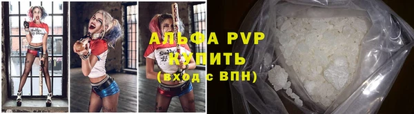 крисы Иноземцево