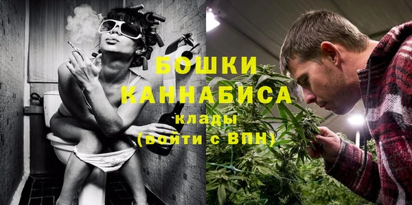 крисы Иноземцево