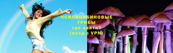 крисы Иноземцево