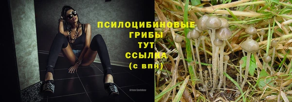 винт Кущёвская