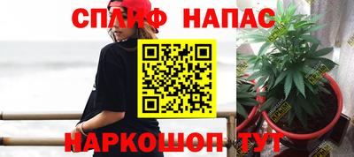 трава Аргун