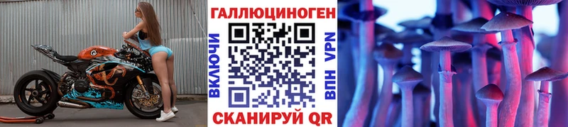 МЕГА онион  Бузулук  Галлюциногенные грибы MAGIC MUSHROOMS 