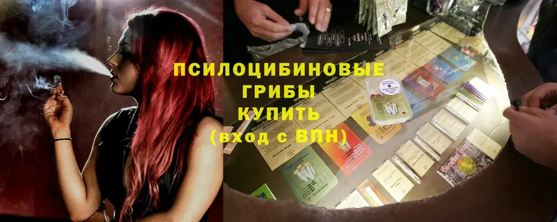 где купить наркоту  Бузулук  Галлюциногенные грибы прущие грибы 