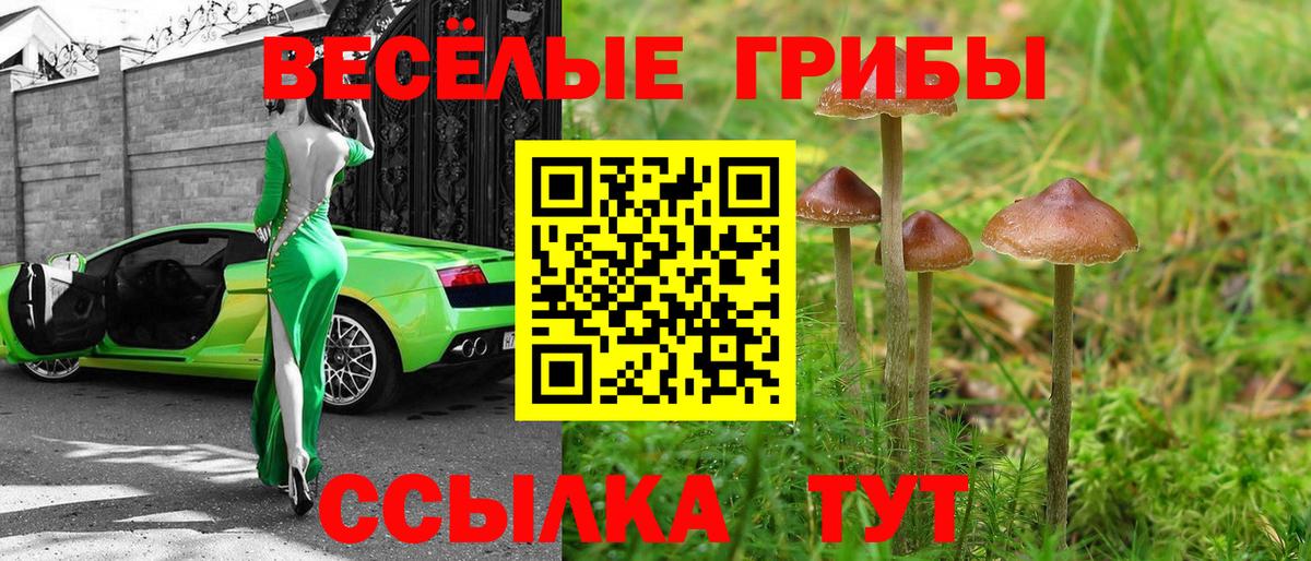 Бузулук  Галлюциногенные грибы MAGIC MUSHROOMS  Вход с VPN 