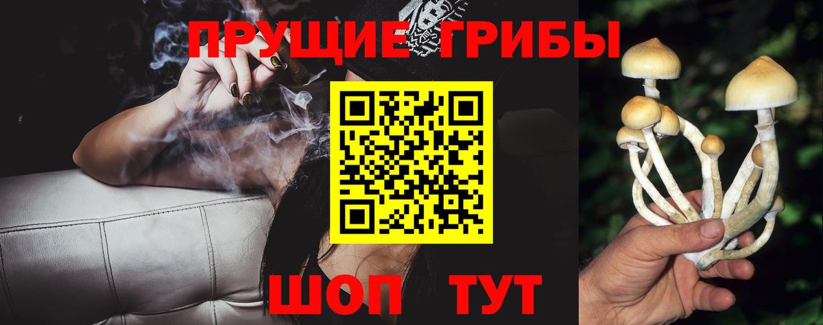 Псилоцибиновые грибы Cubensis  закладка  Бузулук 